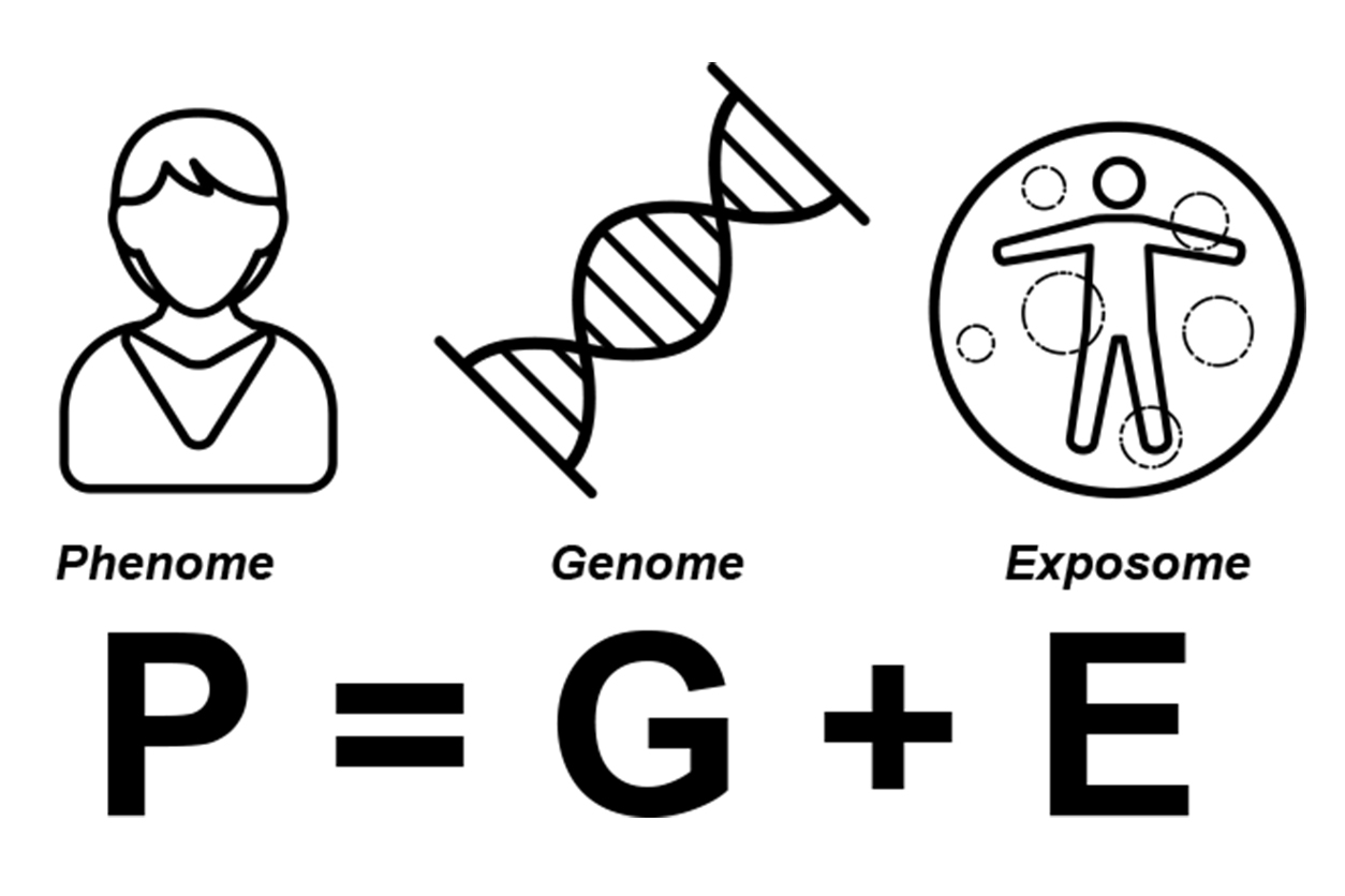 P (phenome) = G (genome) + E (exposome)