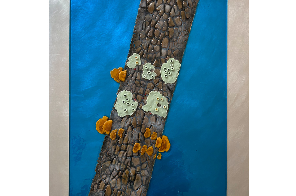 Lichens Liking by Teddy Devereux