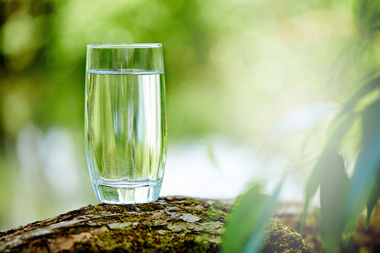 glass of water placed on a tree trunk