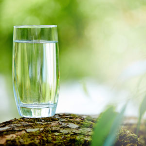 glass of water on a tree trunk