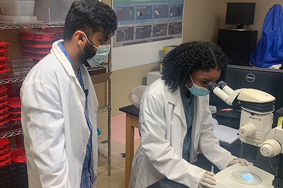 Kyra Chism and Zaka Asif work in a lab