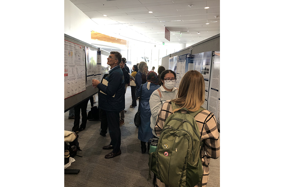 Conference attendees discussed the research on display during the afternoon poster presentations.