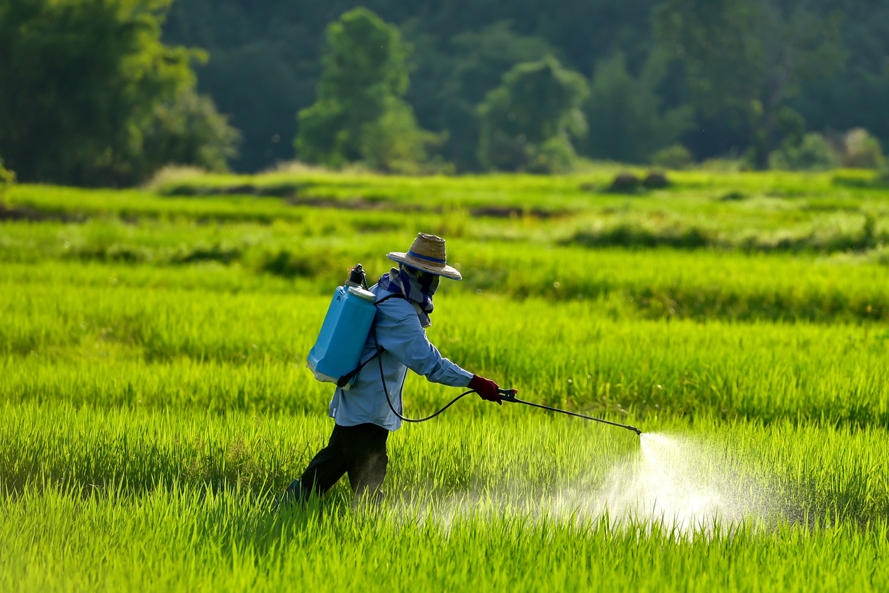Man spraying pesticide