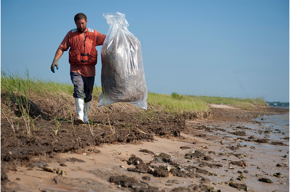 Worker carries bag of oil-contaminated grass