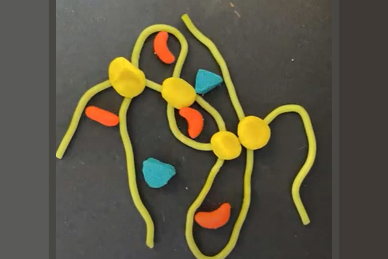 Clay representation of linked polymer molecules