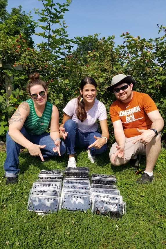 SRP trainees Molly Frazar, Ph.D., Victoria Klaus, and Kevin Baldridge, Ph.D., harvest blackberries for BerryCare, a nutritional intervention program. (Photo courtesy of Dawn Brewer / University of Kentucky)