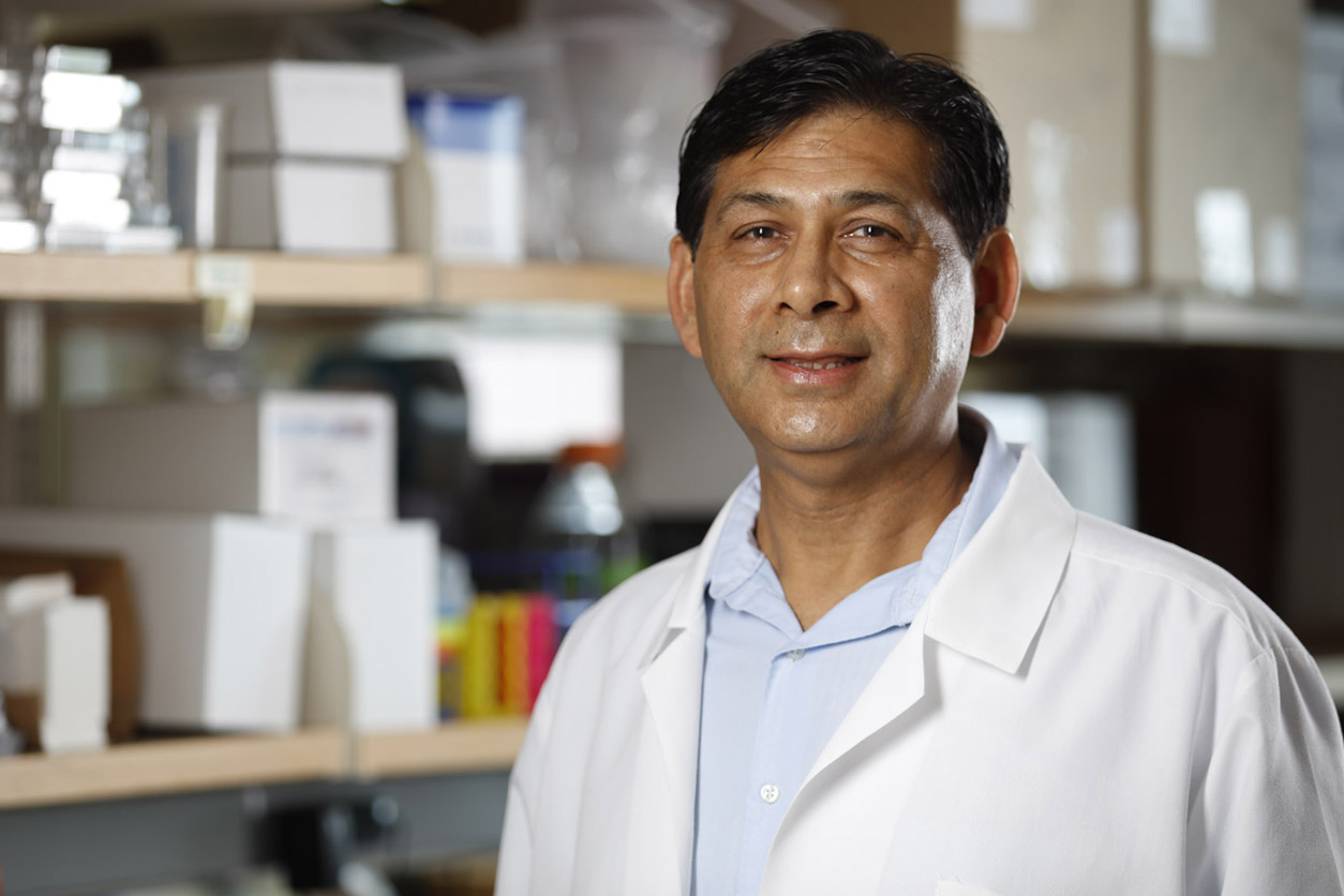 Irfan Rahman, Ph.D.