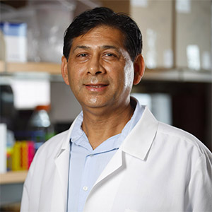 Irfan Rahman, Ph.D.