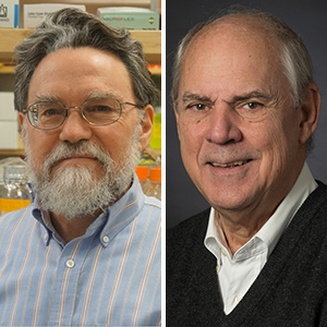  Mark Hahn, Ph.D., and John Stegeman, Ph.D.