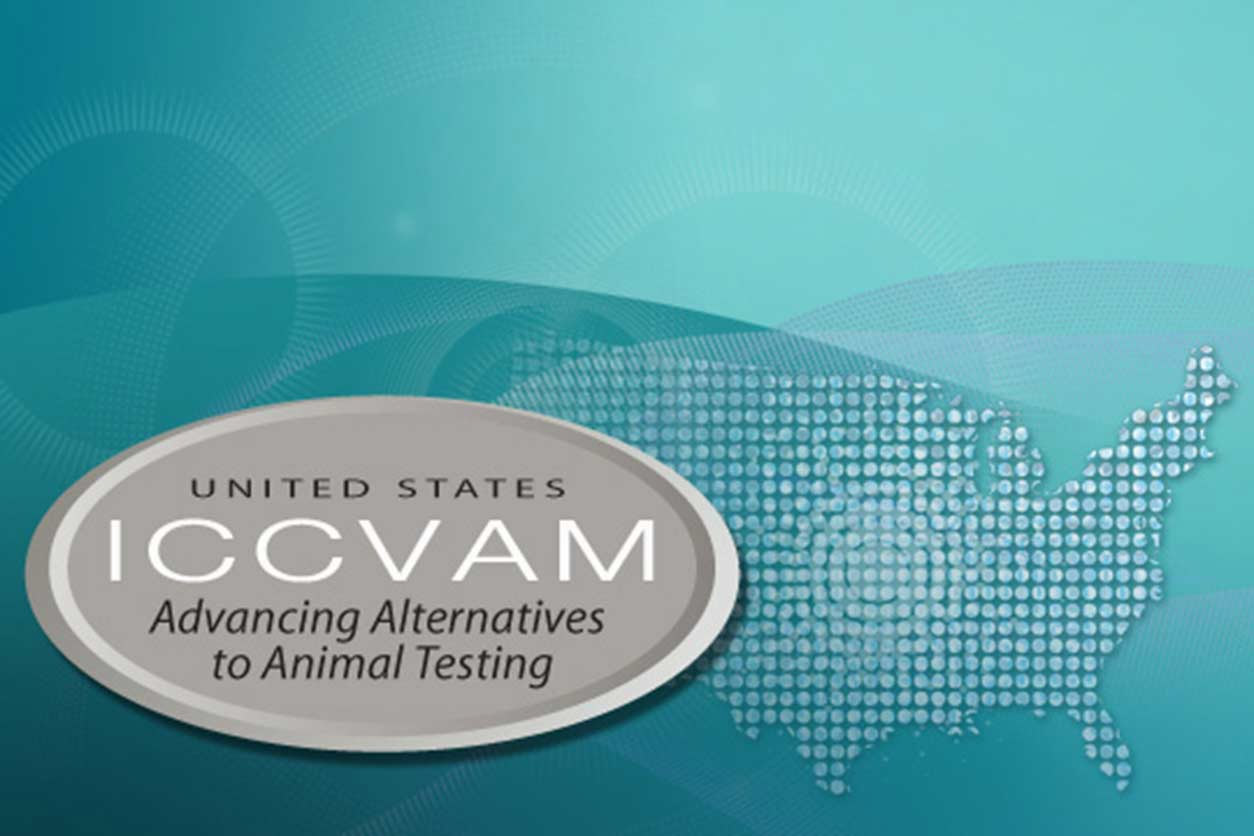 ICCVAM logo on blue background