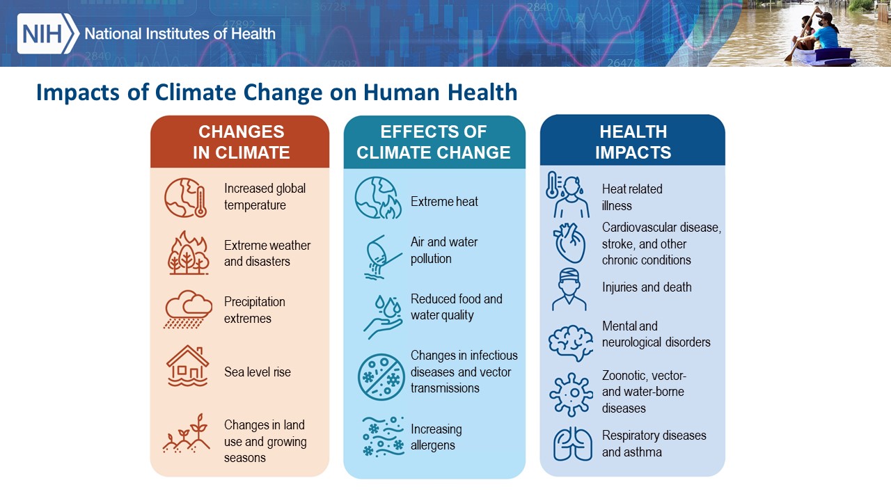Woychik described the urgent need to address the many ways climate change influences human health. 