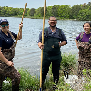 Ashley Fisher and Dale Oakley and trainee Jennifer Sun collect field samples in Mashpee, Massachusetts. 