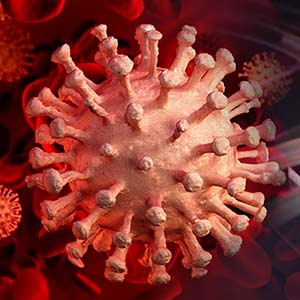 understand infectious disease biological mechanisms