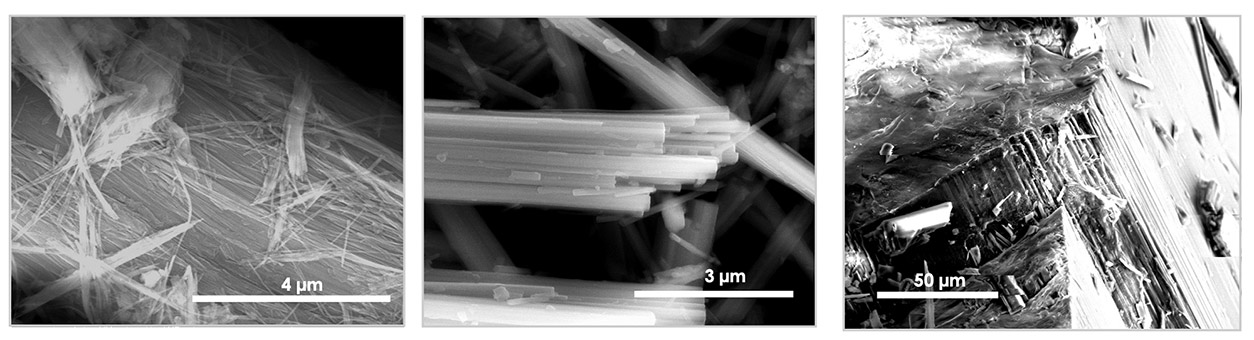 Minerals used in the study, from left to right: chrysotile, crocidolite, and tremolitic actinolite