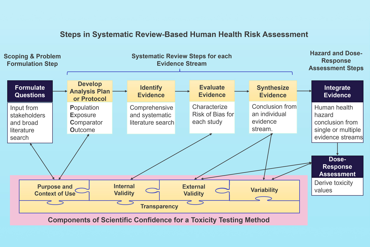 Steps in Systematic Review-Based Human Health Risk Assessment