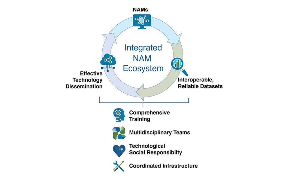 An illustration from the working group’s report shows how its seven recommendations complement and support one another. (Photo courtesy of NIH)