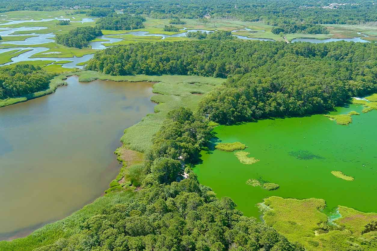 Aerial photo of a cyanobacteria bloom in West Reservoir, right, in Harwich, Massachusetts, compared to an adjacent water body with no bloom. (Photo courtesy of Ollie Becker / Circuit Films)