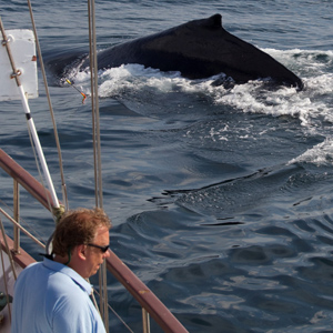 John Wise and a humpback whale