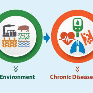 Circle with icons representing the Environment (water, factory, grain and a pig) with an arrow leading to a circle with icons (heart, lungs, veins) representing Chronic Diseases.