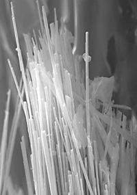 magnification of potentially harmful and highly respirable fibers