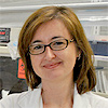 Gemma Reguera, Ph.D.