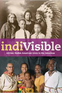 indiVisible cover