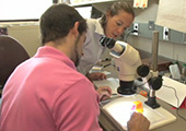 scientists at work in a laboratory